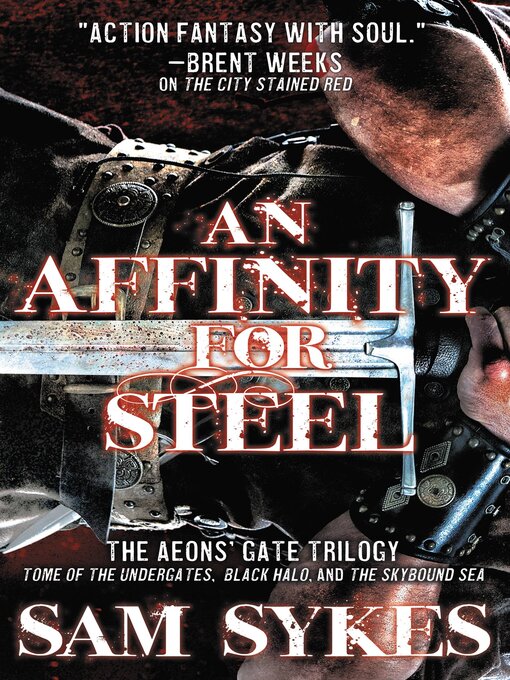 Cover image for An Affinity for Steel